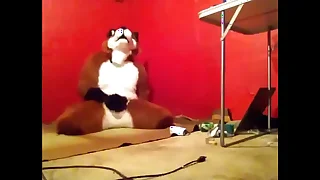 1172 gay masturbation porn videos